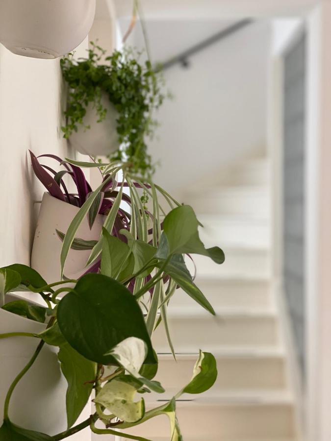 Romantic Wellness Bnb Noordwijk Dış mekan fotoğraf